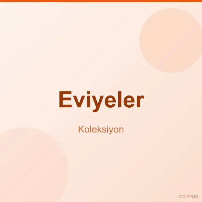 Eviyeler