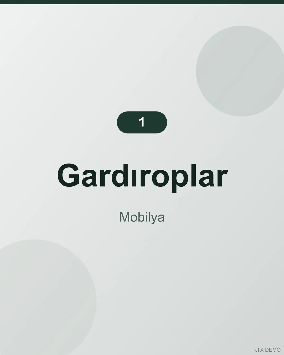 Klasik Deri Gardırop 1
