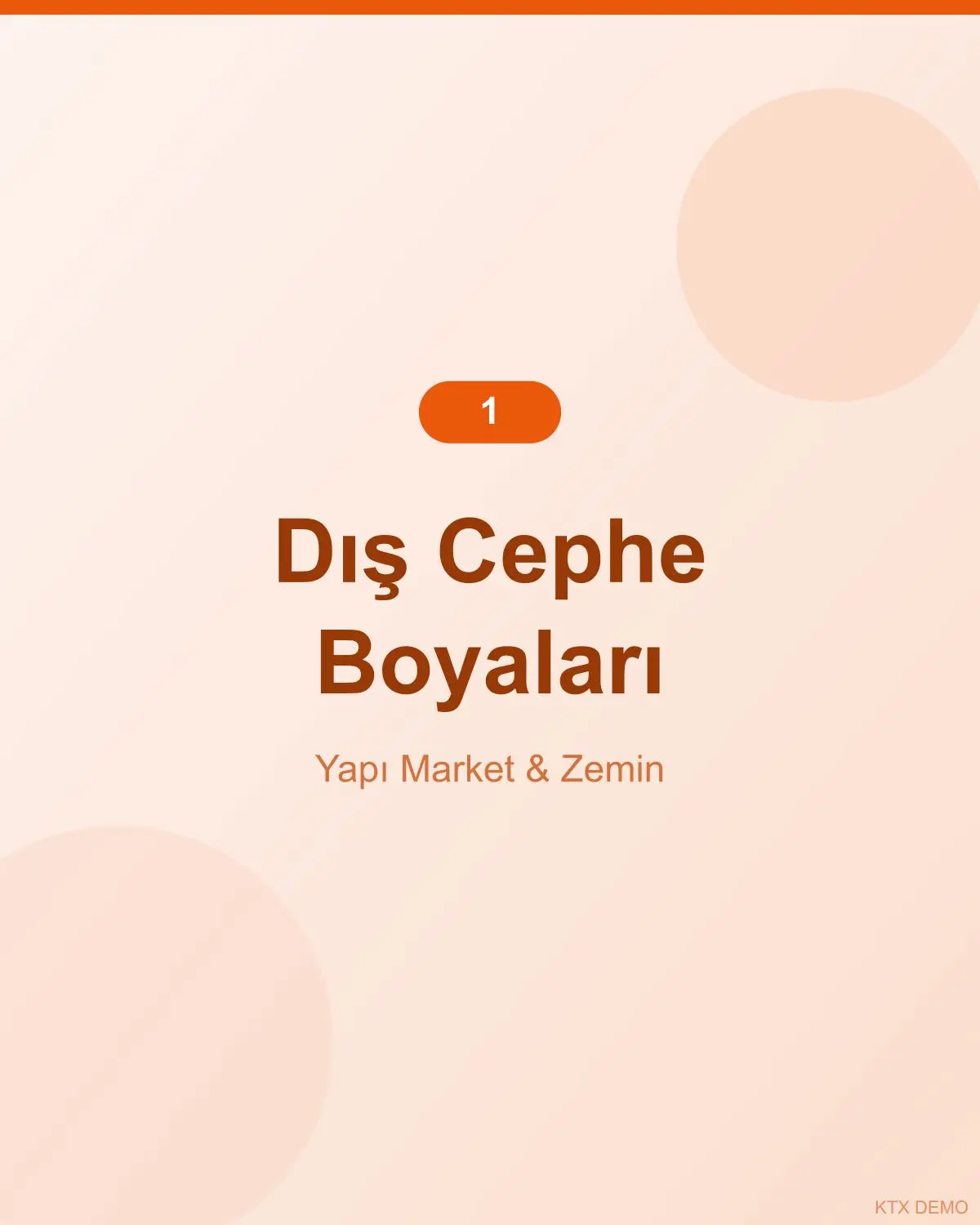 Premium Antrasit Dış Cephe Boyası 1