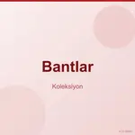 Bantlar
