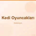 Kedi Oyuncakları