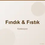 Fındık & Fıstık