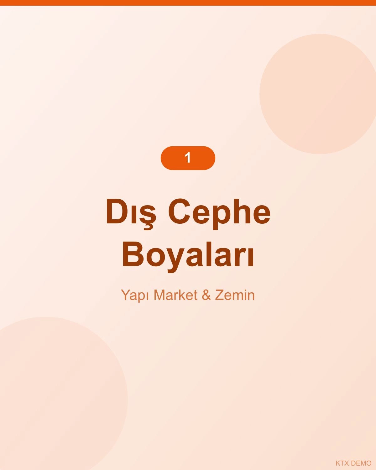 Premium Antrasit Dış Cephe Boyası 9
