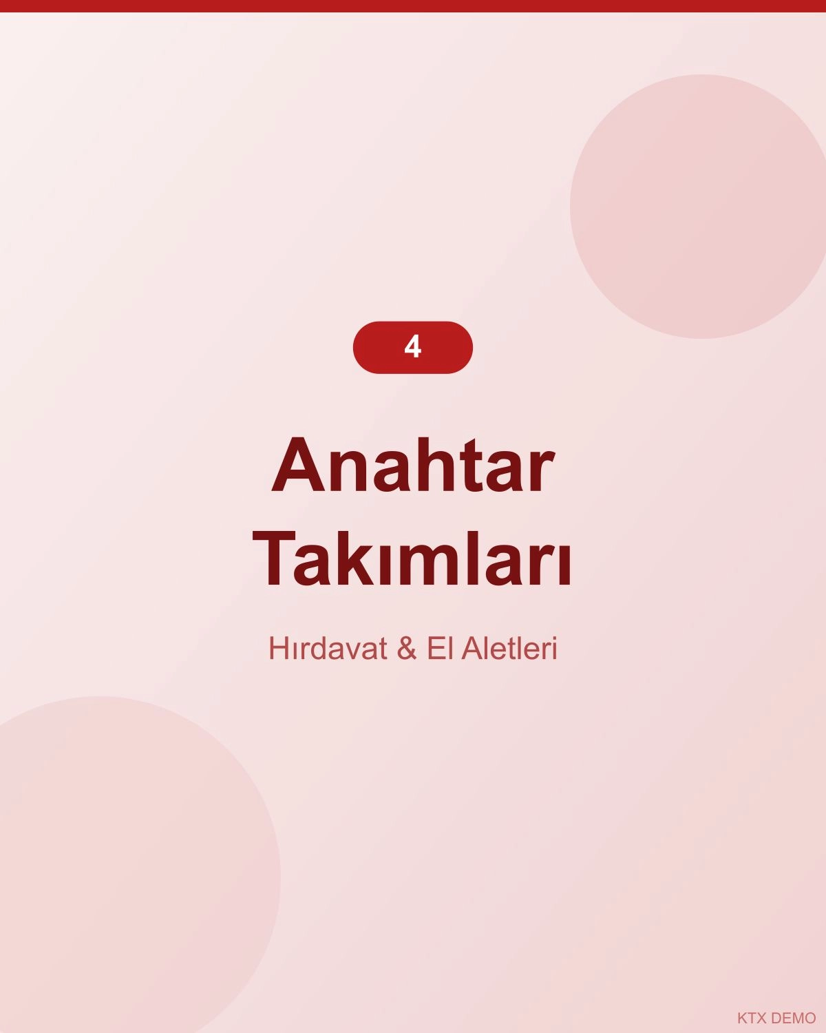 Profesyonel Çelik Anahtar Takımı 4
