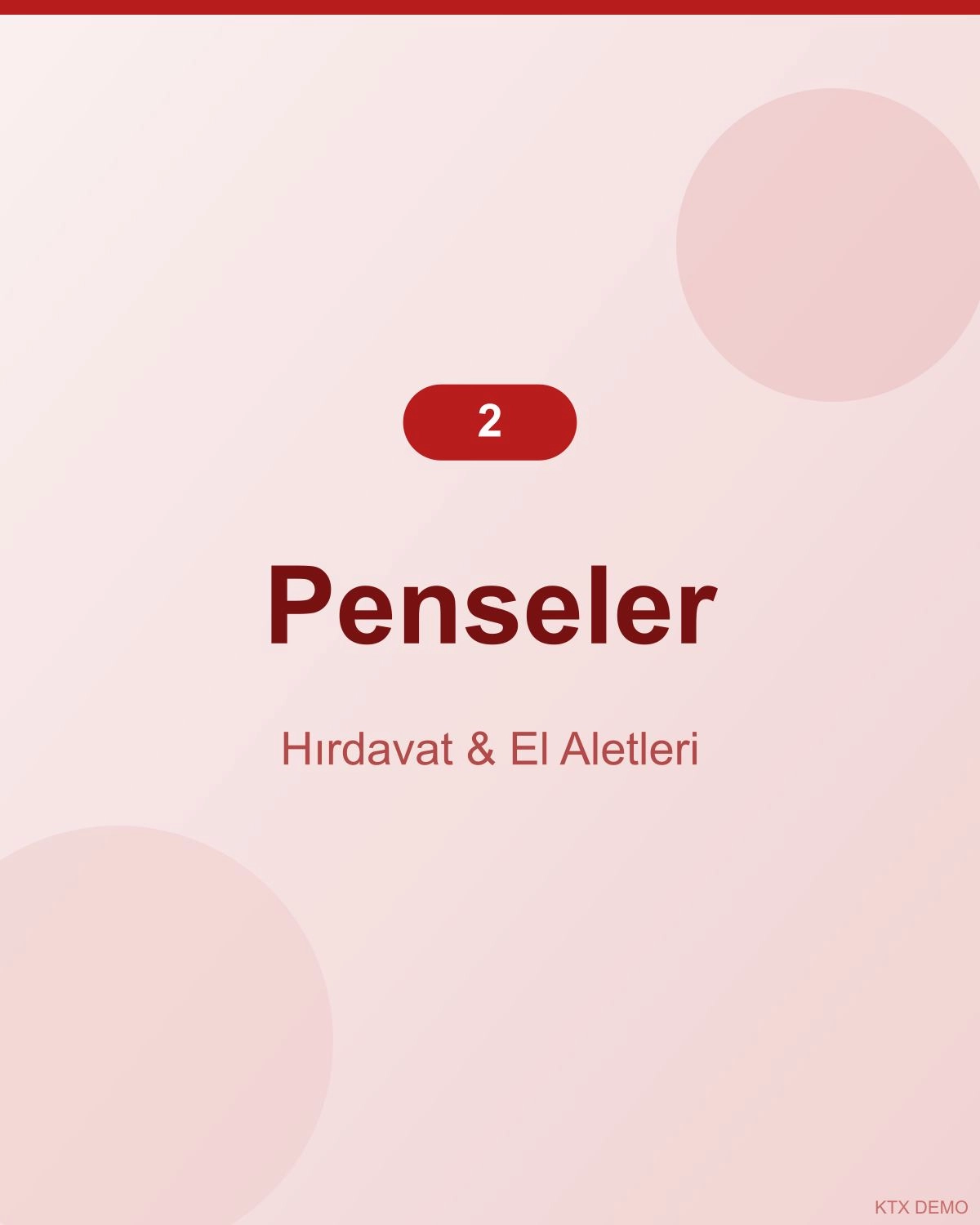 Profesyonel Çelik Pense 4