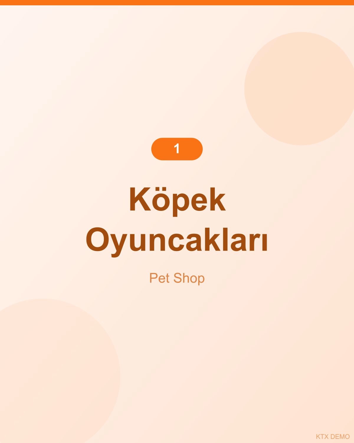 Doğal Somonlu Köpek Oyuncağı 4