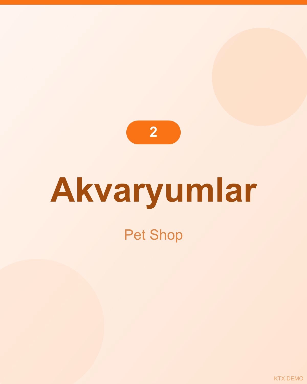 Doğal Somonlu Akvaryum 12