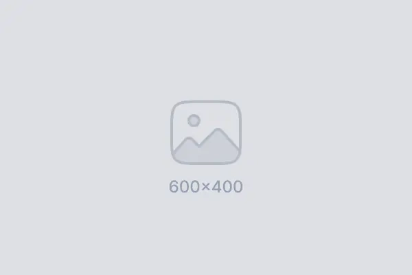 Premium Antrasit SPC Panel 1