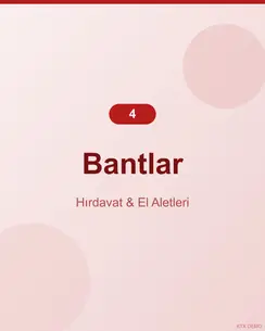 Profesyonel Çelik Bant 4