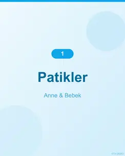 Nefes Alan Bambu Patik 3