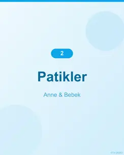 Nefes Alan Bambu Patik 3