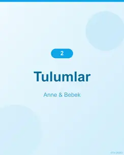 Nefes Alan Bambu Tulum 3
