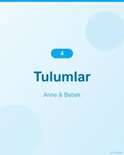 Nefes Alan Bambu Tulum 3