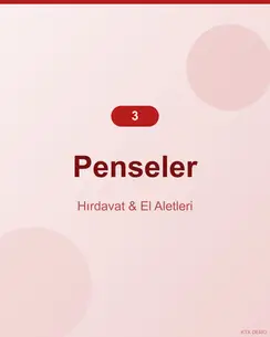 Profesyonel Çelik Pense 4
