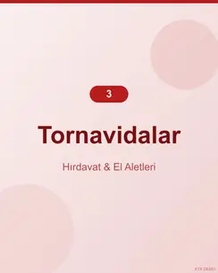 Profesyonel Çelik Tornavida Seti 4