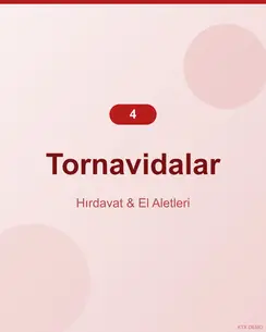 Profesyonel Çelik Tornavida Seti 4
