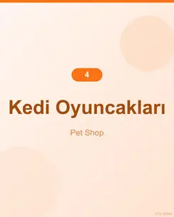 Doğal Somonlu Kedi Oyuncağı 4