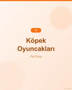 Doğal Somonlu Köpek Oyuncağı 4