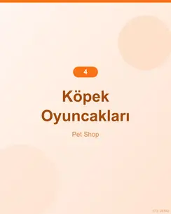 Doğal Somonlu Köpek Oyuncağı 4