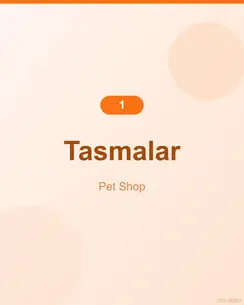 Doğal Somonlu Tasma 4