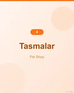 Doğal Somonlu Tasma 4