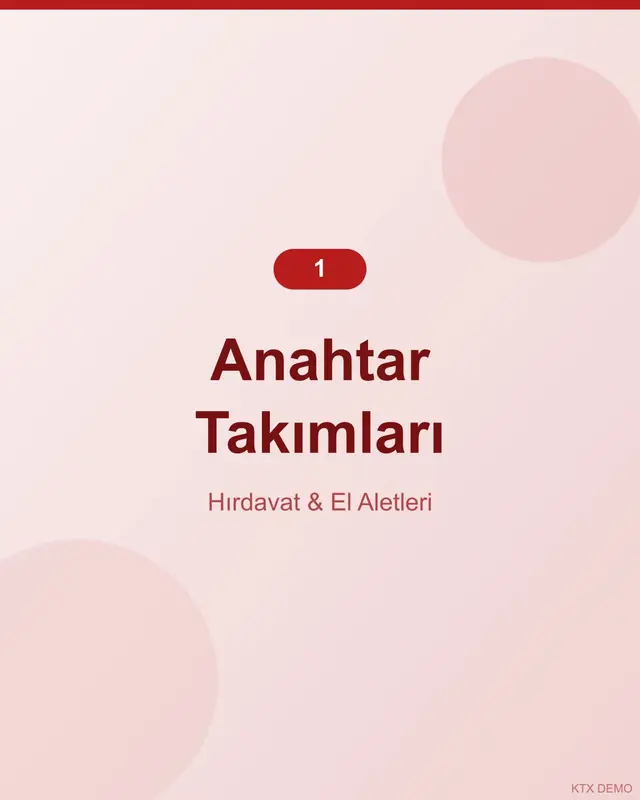 Profesyonel Çelik Anahtar Takımı 12