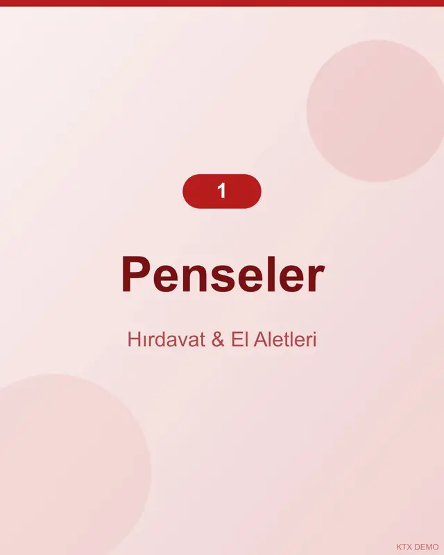 Şarjlı Krom Vanadyum Pense 3