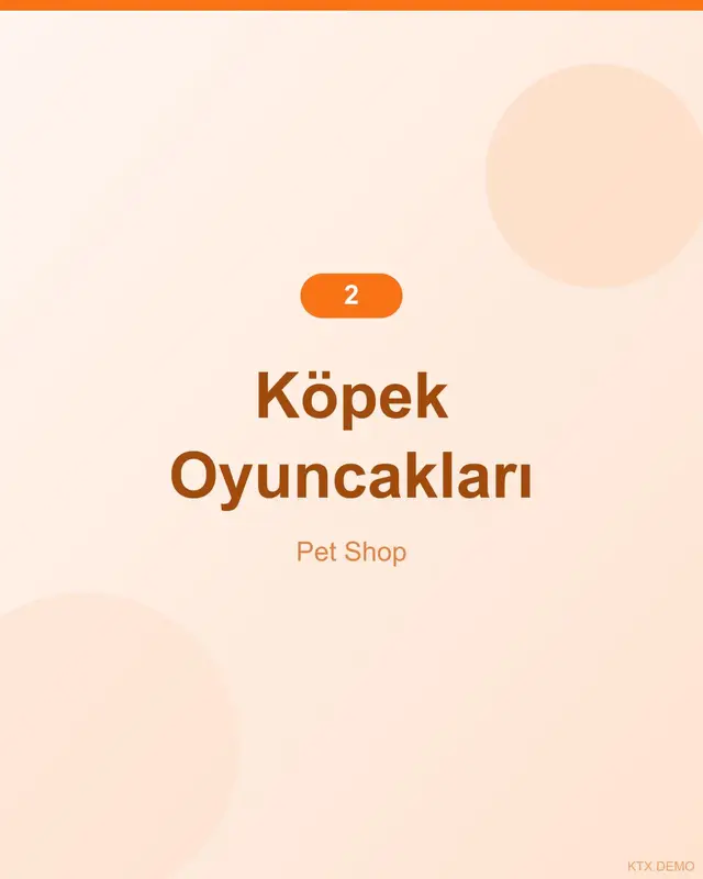 Doğal Somonlu Köpek Oyuncağı 12-2