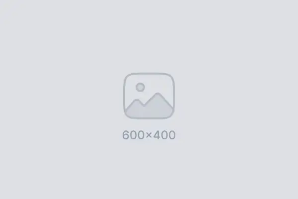 Premium Antrasit SPC Panel 1